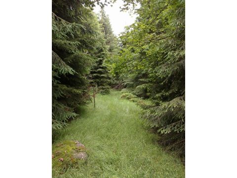 Foto 66